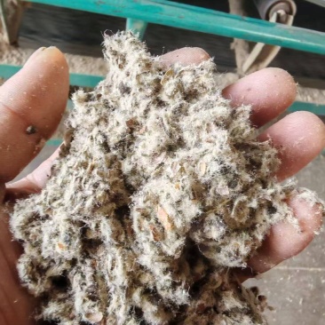 新疆棉壳厂家直销棉壳，磨盘壳，光籽，毛籽等