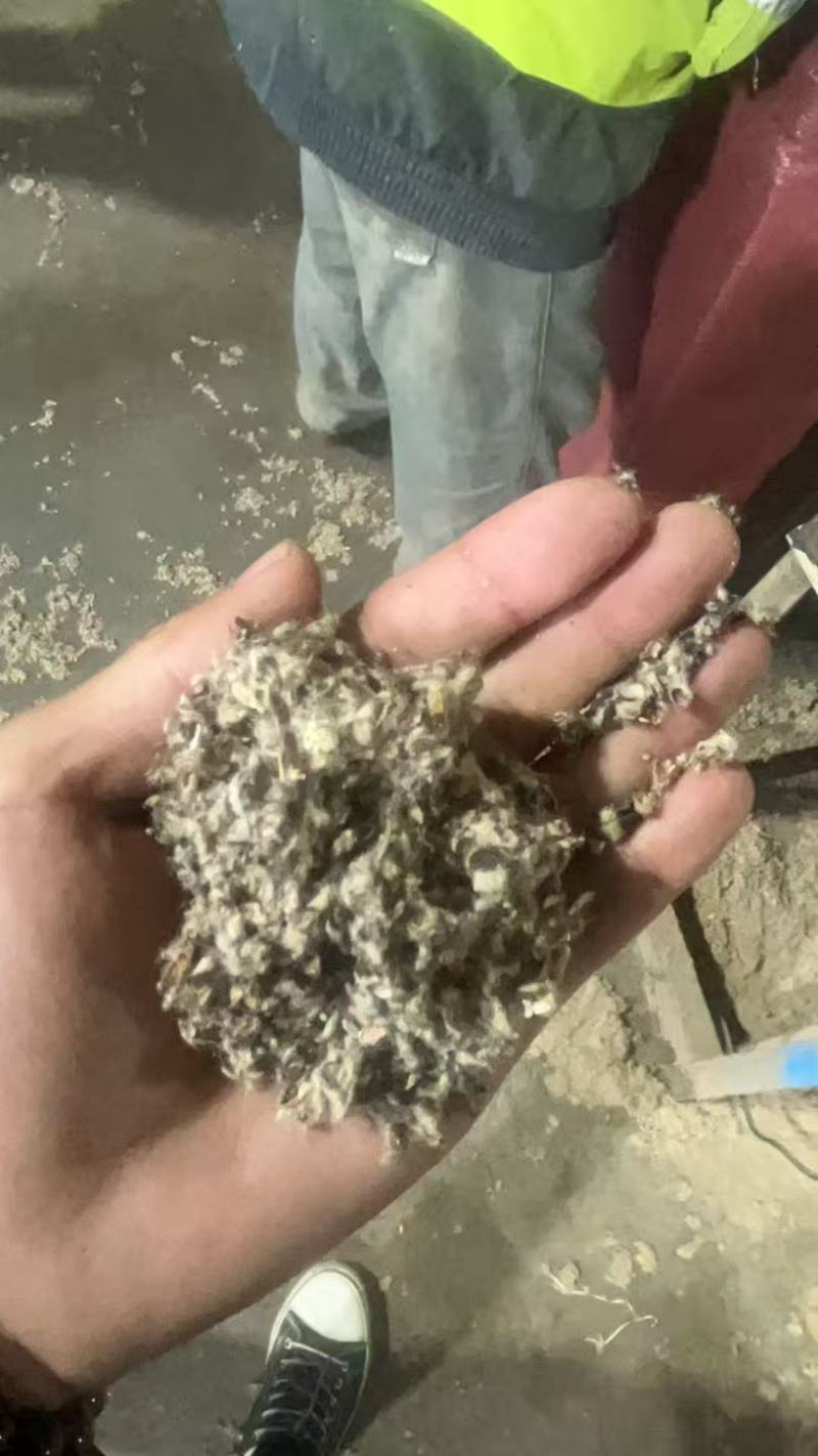 新疆棉壳厂家直销棉壳，磨盘壳，光籽，毛籽等