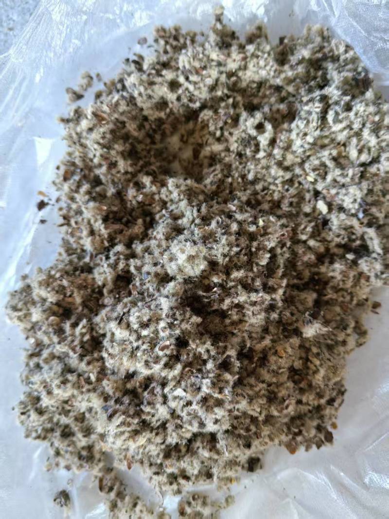 新疆棉壳厂家直销棉壳，磨盘壳，光籽，毛籽等