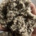 新疆棉壳厂家直销棉壳，磨盘壳，光籽，毛籽等