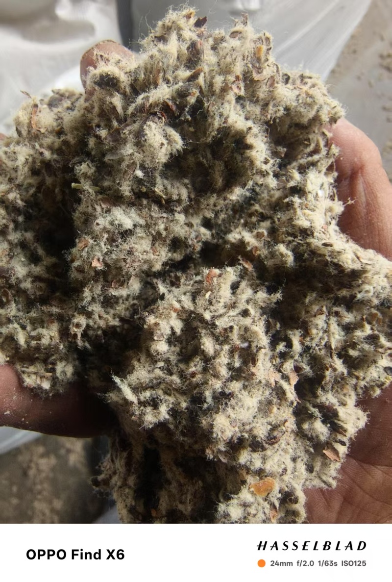新疆棉壳厂家直销棉壳，磨盘壳，光籽，毛籽等