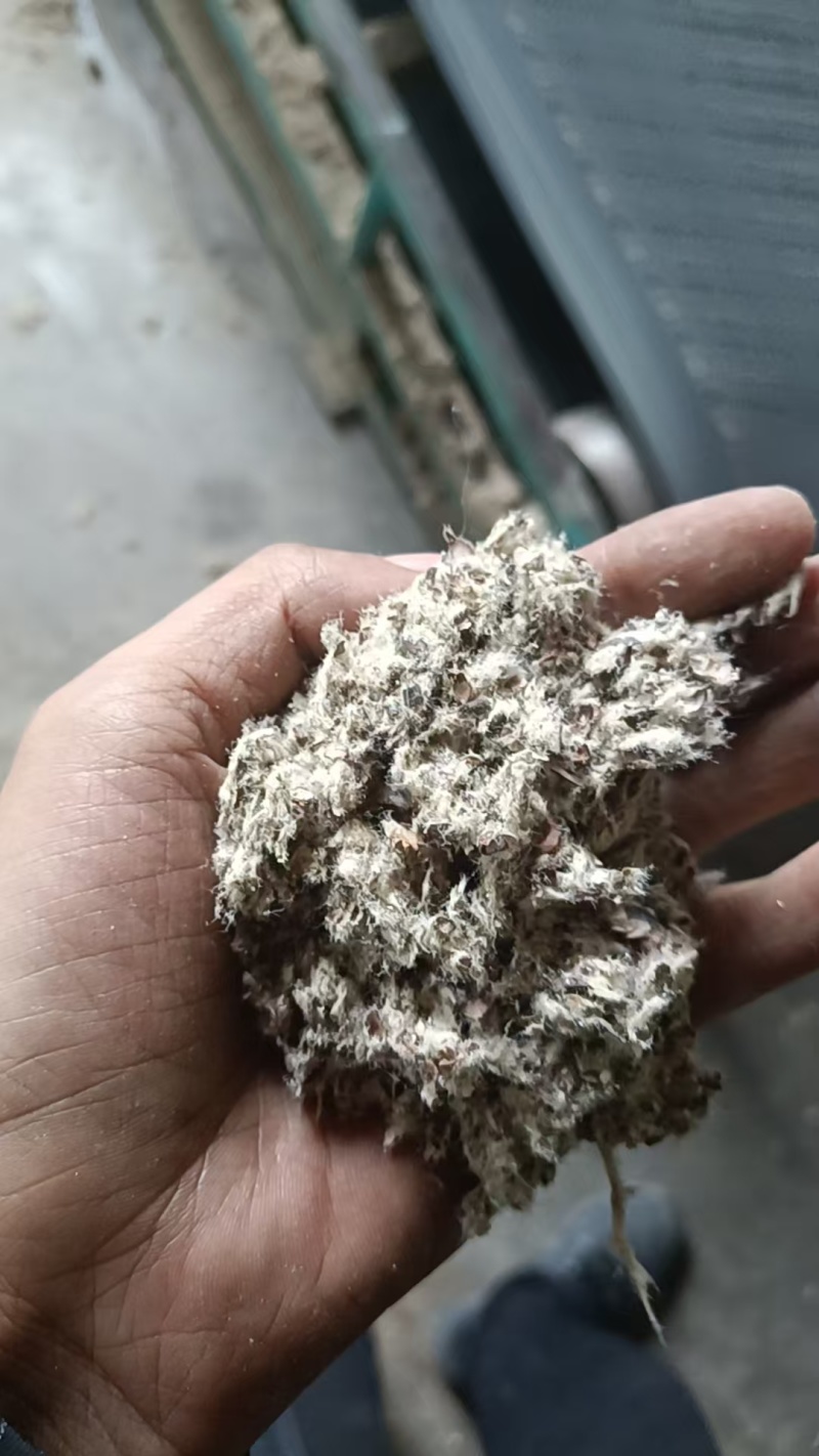 新疆棉壳厂家直销棉壳，磨盘壳，光籽，毛籽等