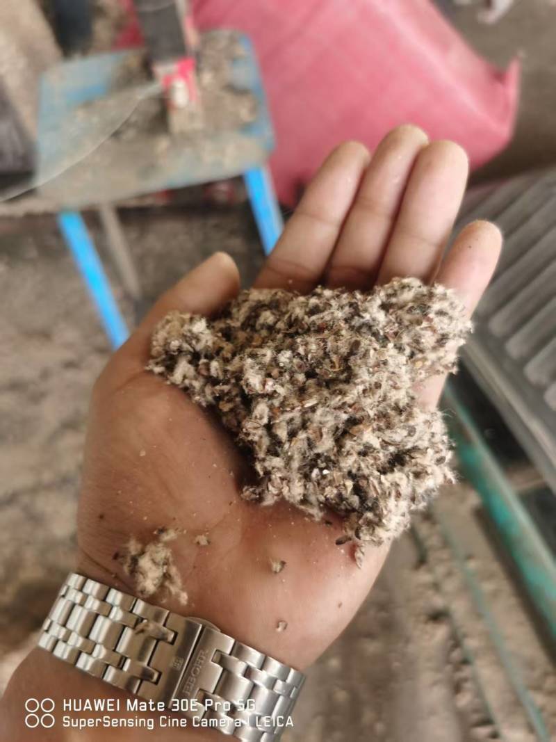 新疆棉壳厂家直销棉壳，磨盘壳，光籽，毛籽等