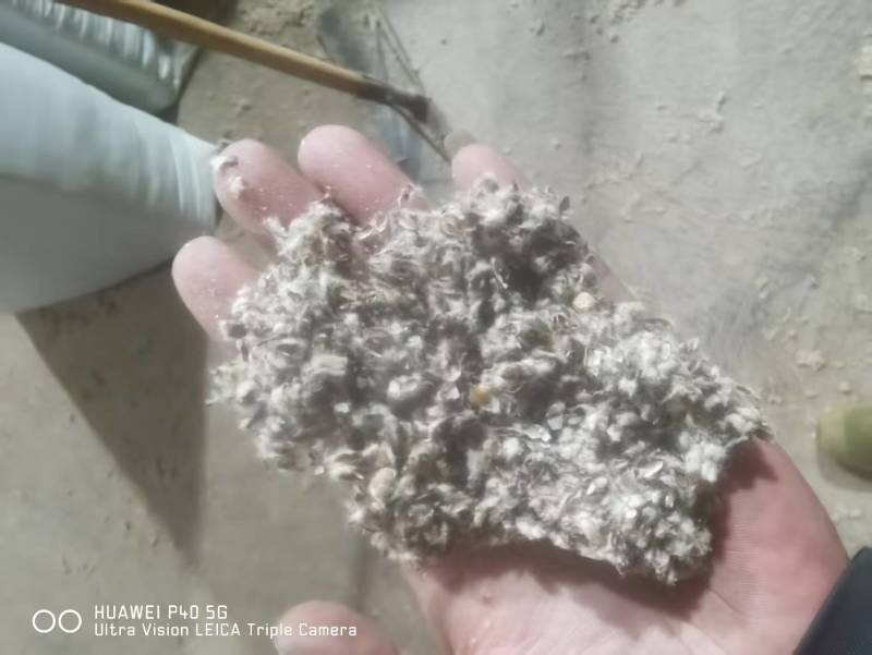 新疆棉壳厂家直销棉壳，磨盘壳，光籽，毛籽等