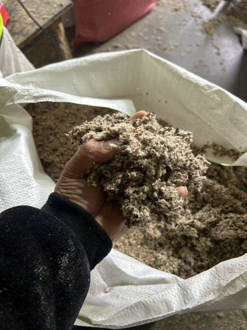 新疆棉壳厂家直销棉壳，磨盘壳，光籽，毛籽等