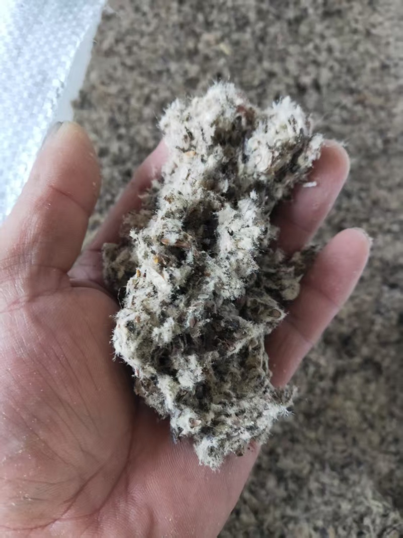 新疆棉壳厂家直销棉壳，磨盘壳，光籽，毛籽等