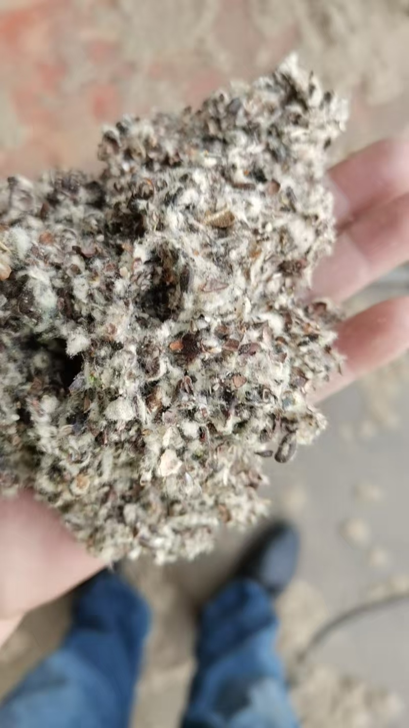 新疆棉壳厂家直销棉壳，磨盘壳，光籽，毛籽等