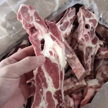 白膘牛胸骨