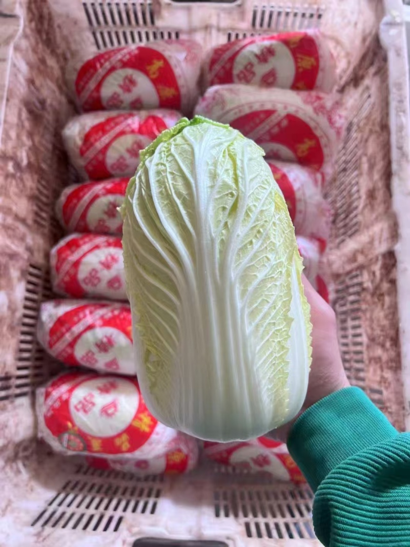 黄心大娃