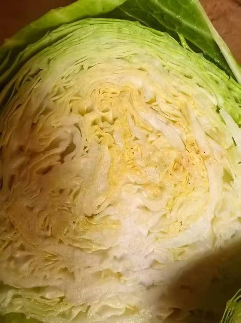 图包菜