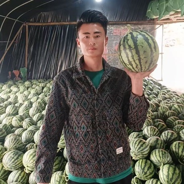 精选美都西瓜麒麟西瓜对接电商市场商超保质保量可售后一条龙