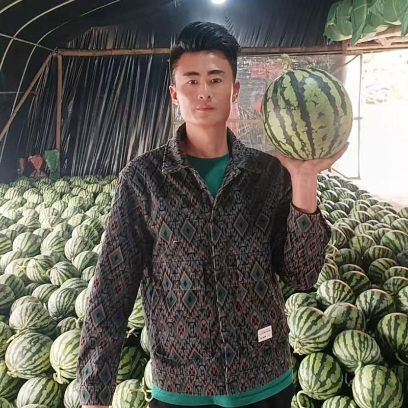 精选美都西瓜麒麟西瓜对接电商市场商超保质保量可售后一条龙