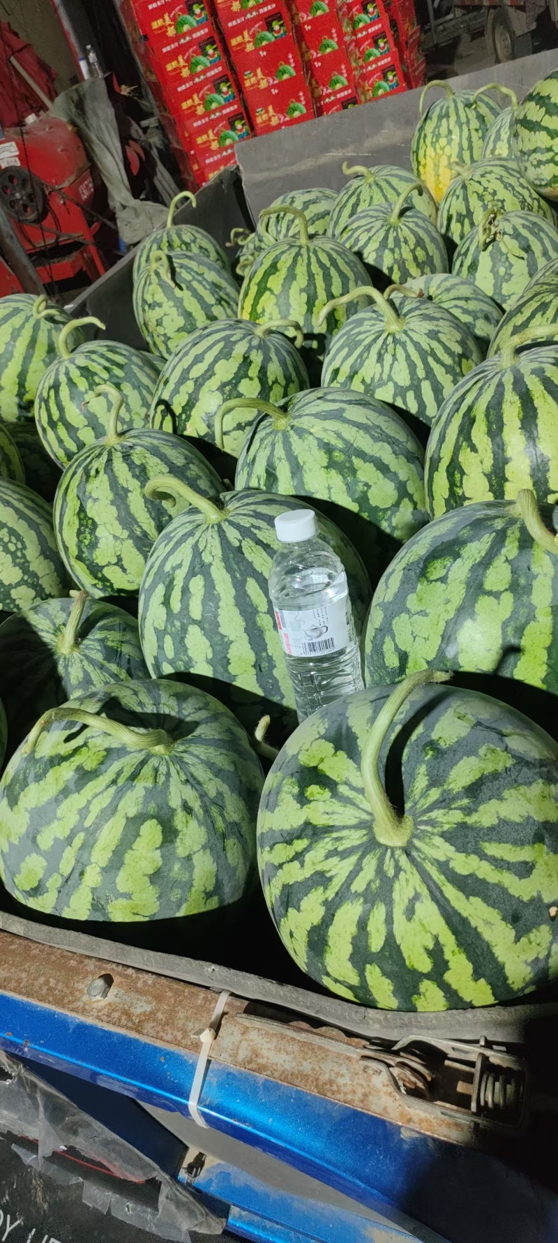 麒麟/精品无籽/美都西瓜供应链产地直接发货