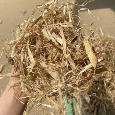 牛羊牧草