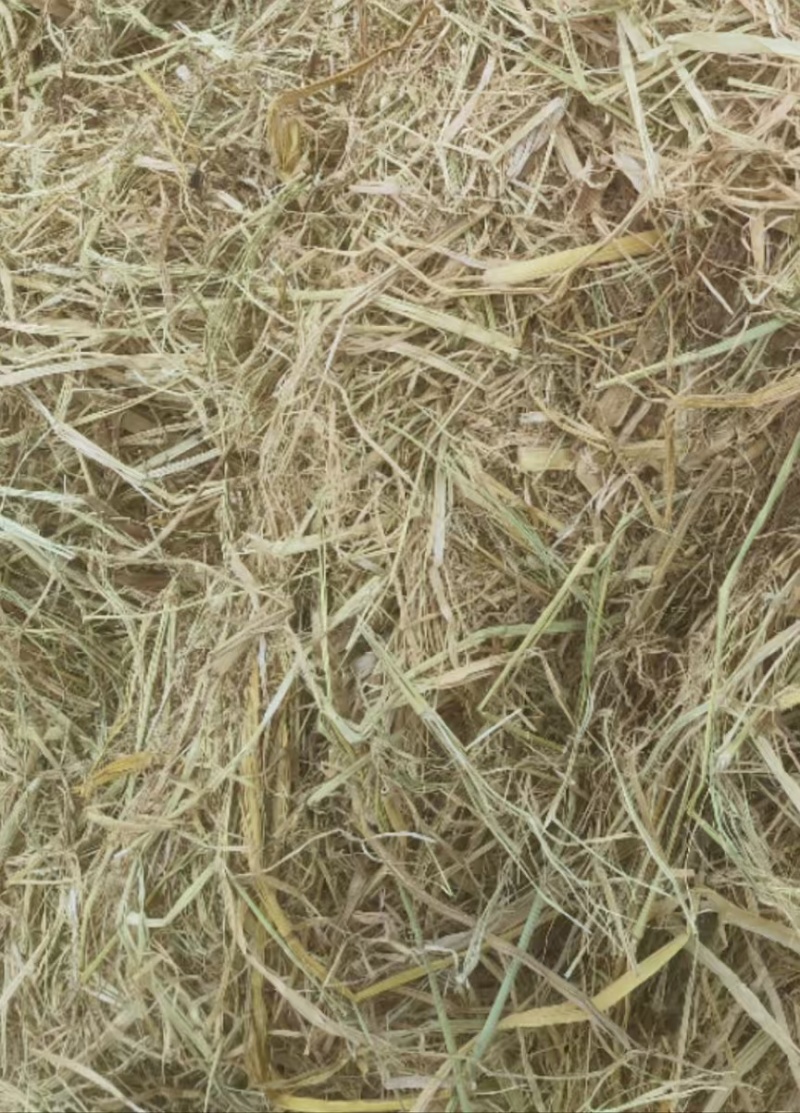 优质柔丝稻草。