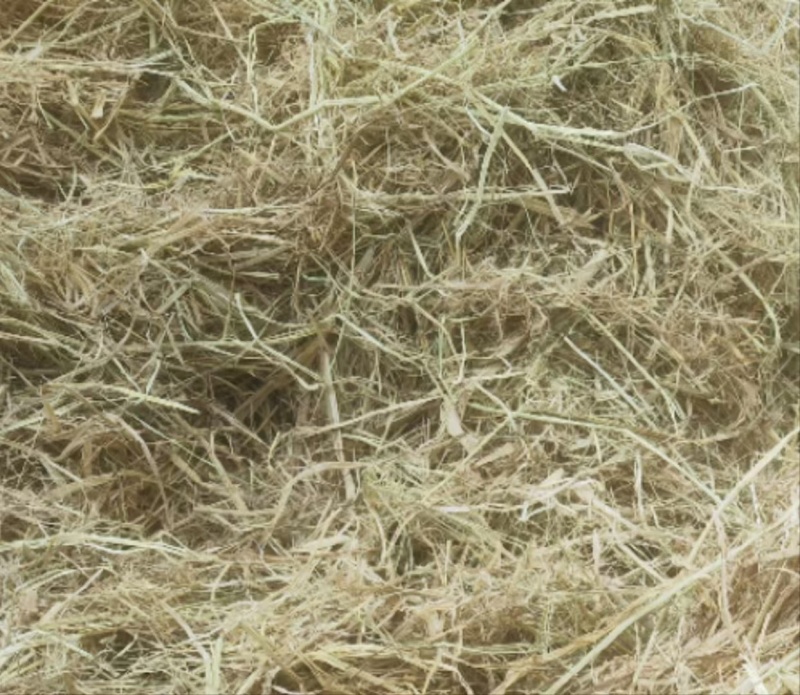 优质柔丝稻草。