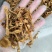 东北特产干菜滑子蘑碎滑子蘑干净无杂质打卤包馅味道鲜美