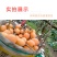 包邮！早钟枇杷便宜卖了，自家果园自产自销、现摘现发