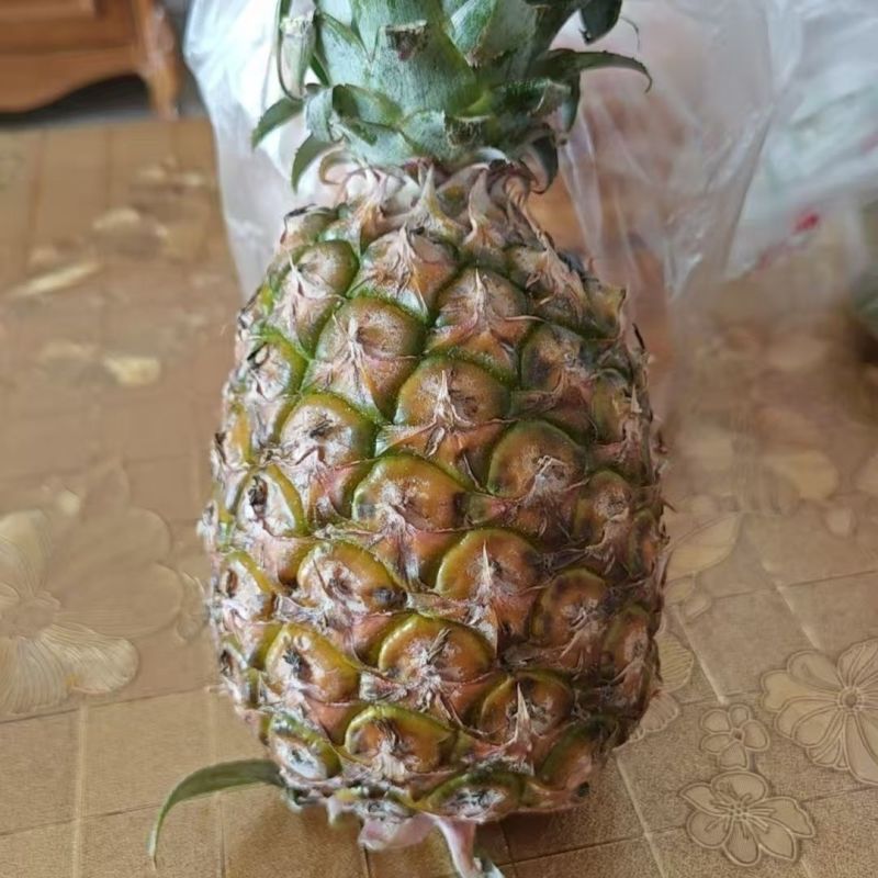 海南凤梨金钻，平台电商小果，欢迎来电合作咨询。