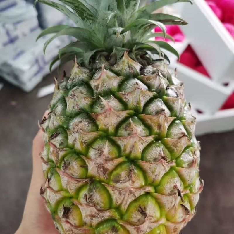 海南凤梨金钻，平台电商小果，欢迎来电合作咨询。
