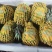 海南凤梨金钻，平台电商小果，欢迎来电合作咨询。