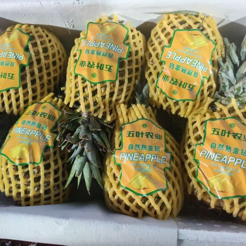 海南凤梨金钻，平台电商小果，欢迎来电合作咨询。
