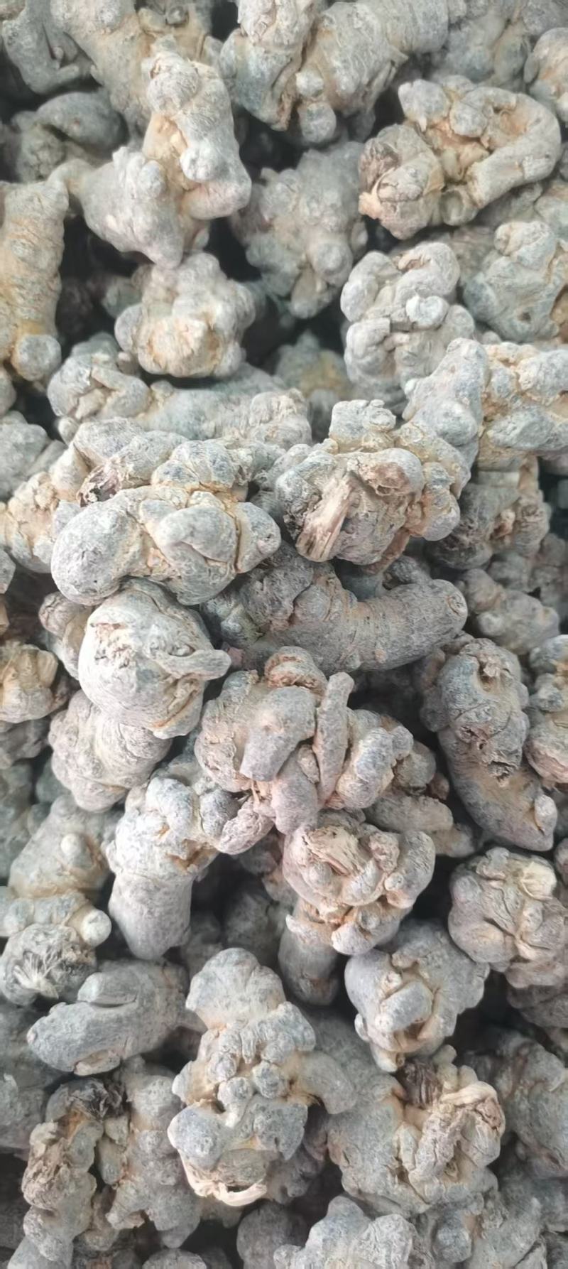 【包邮】三七田七干燥根茎水洗足斤足两欢迎选购