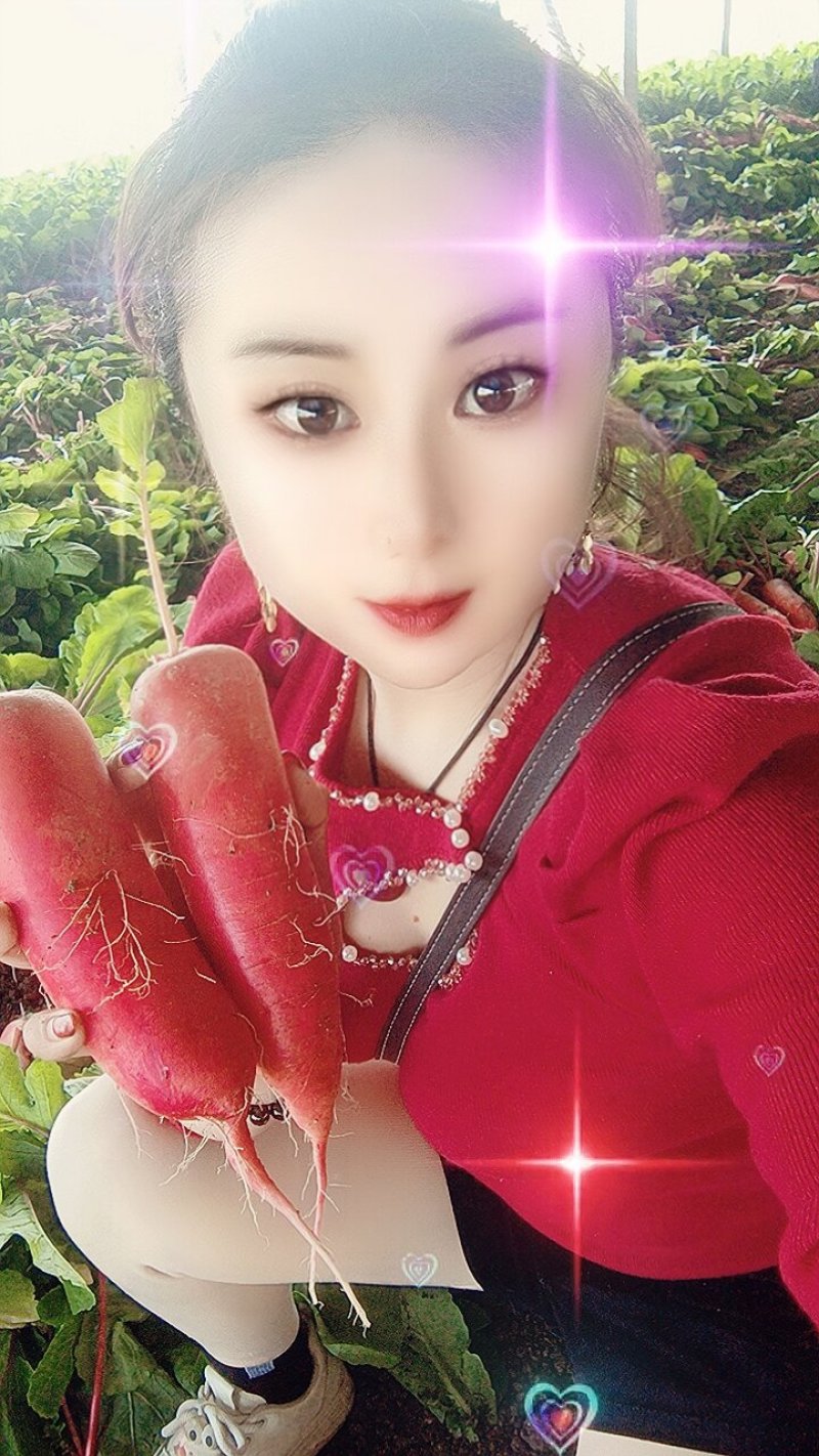 山东水萝卜/平邑红皮水萝卜产地现挖/可带叶装/水洗装袋/