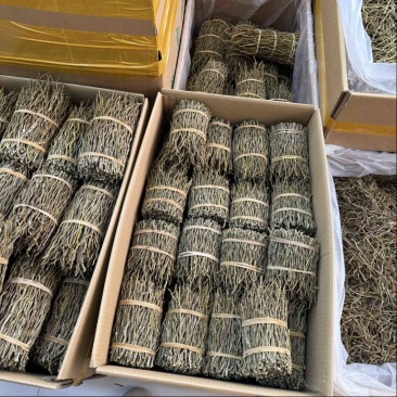 铁皮石斛破价，一公斤石斛捆条仅需2位数