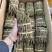 铁皮石斛破价，一公斤石斛捆条仅需2位数