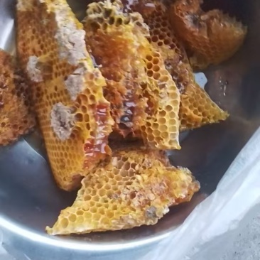 欢迎查看云南正宗土蜂蜜