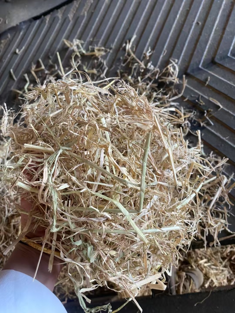 牛羊草料，稻草玉米草麦草花生秧苔草燕麦草欢迎选