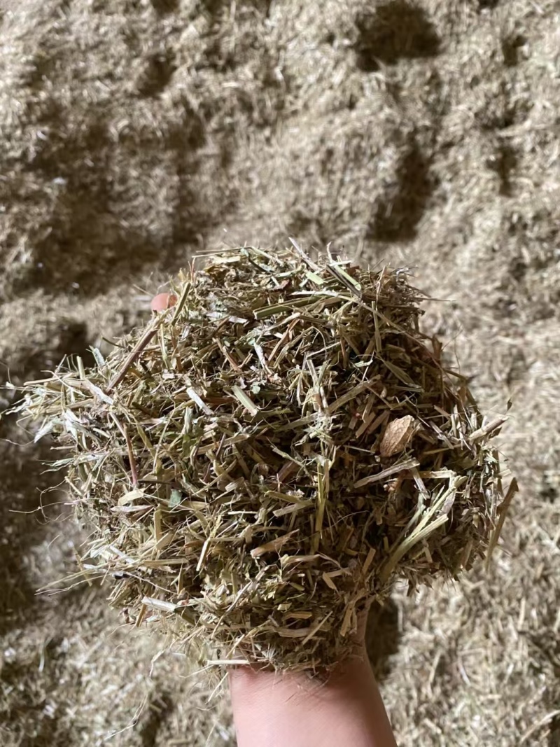 牛羊草料，稻草玉米草麦草花生秧苔草燕麦草欢迎选