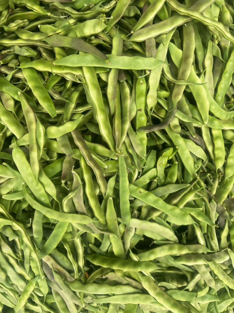 油豆厂家直供大量精品价格美丽对接商超