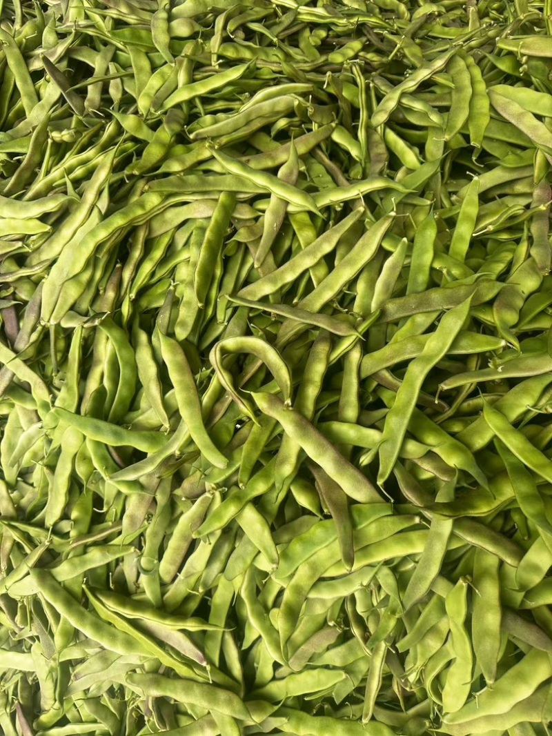 油豆厂家直供大量精品价格美丽对接商超
