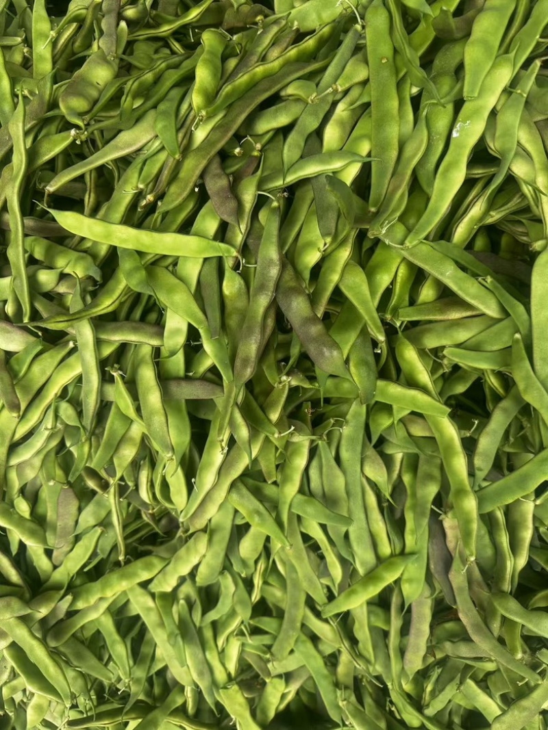 油豆厂家直供大量精品价格美丽对接商超