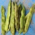 油豆厂家直供大量精品价格美丽对接商超