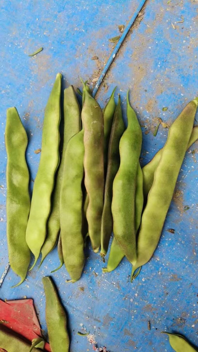 油豆厂家直供大量精品价格美丽对接商超