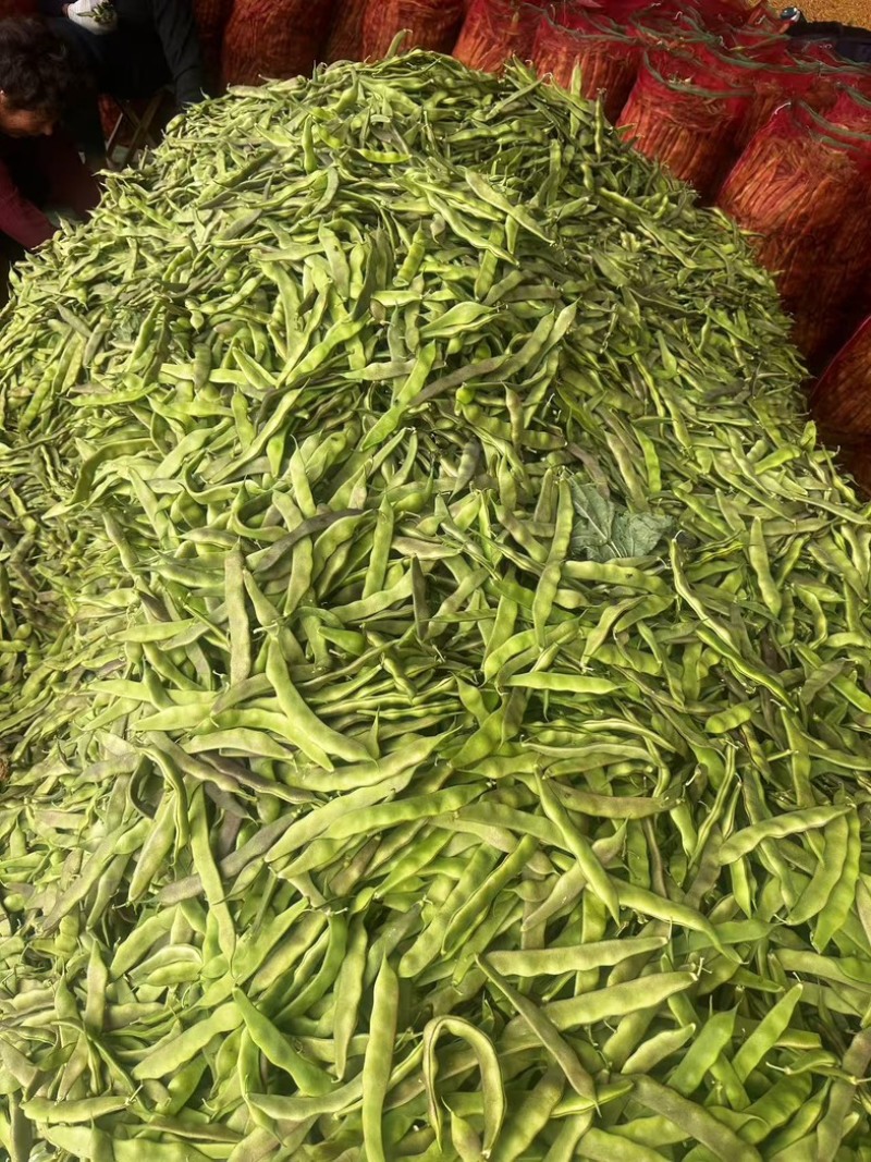 油豆厂家直供大量精品价格美丽对接商超