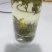甄选象山绿茶头道茶品质好味道好高山绿茶
