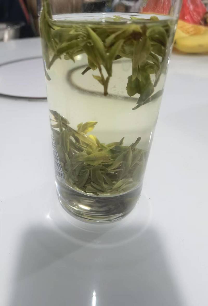 甄选象山绿茶头道茶品质好味道好高山绿茶
