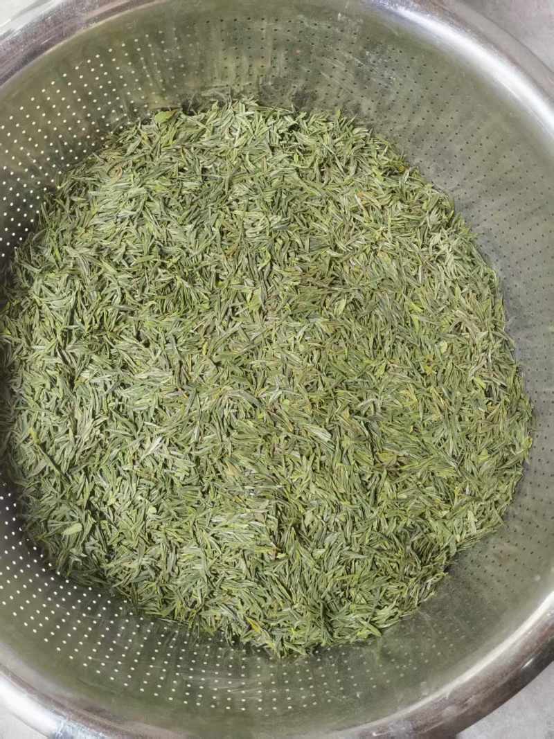 甄选象山绿茶头道茶品质好味道好高山绿茶