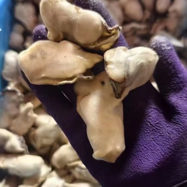 液氮熟冻牡蛎肉，液氮极速锁鲜，麻辣捞汁**规格15克以下