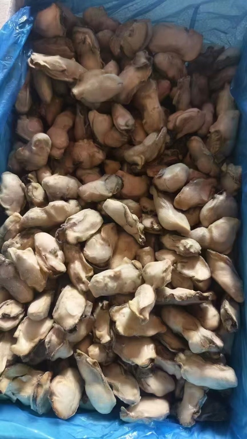 液氮熟冻牡蛎肉，液氮极速锁鲜，麻辣捞汁**规格15克以下