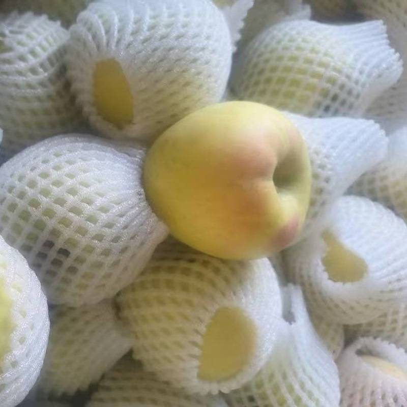 明月苹果，几万斤成品果，冷库货。