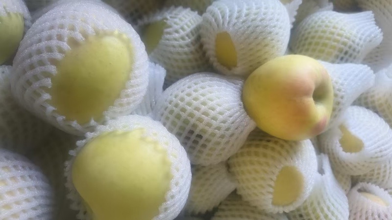 明月苹果，几万斤成品果，冷库货。