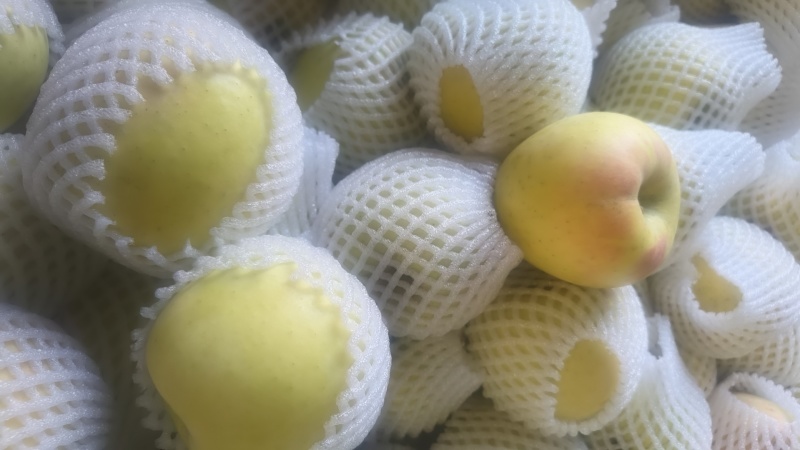 明月苹果，几万斤成品果，冷库货。