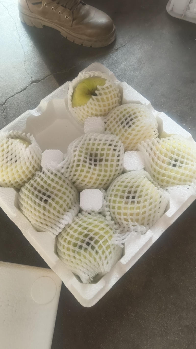 明月苹果，几万斤成品果，冷库货。