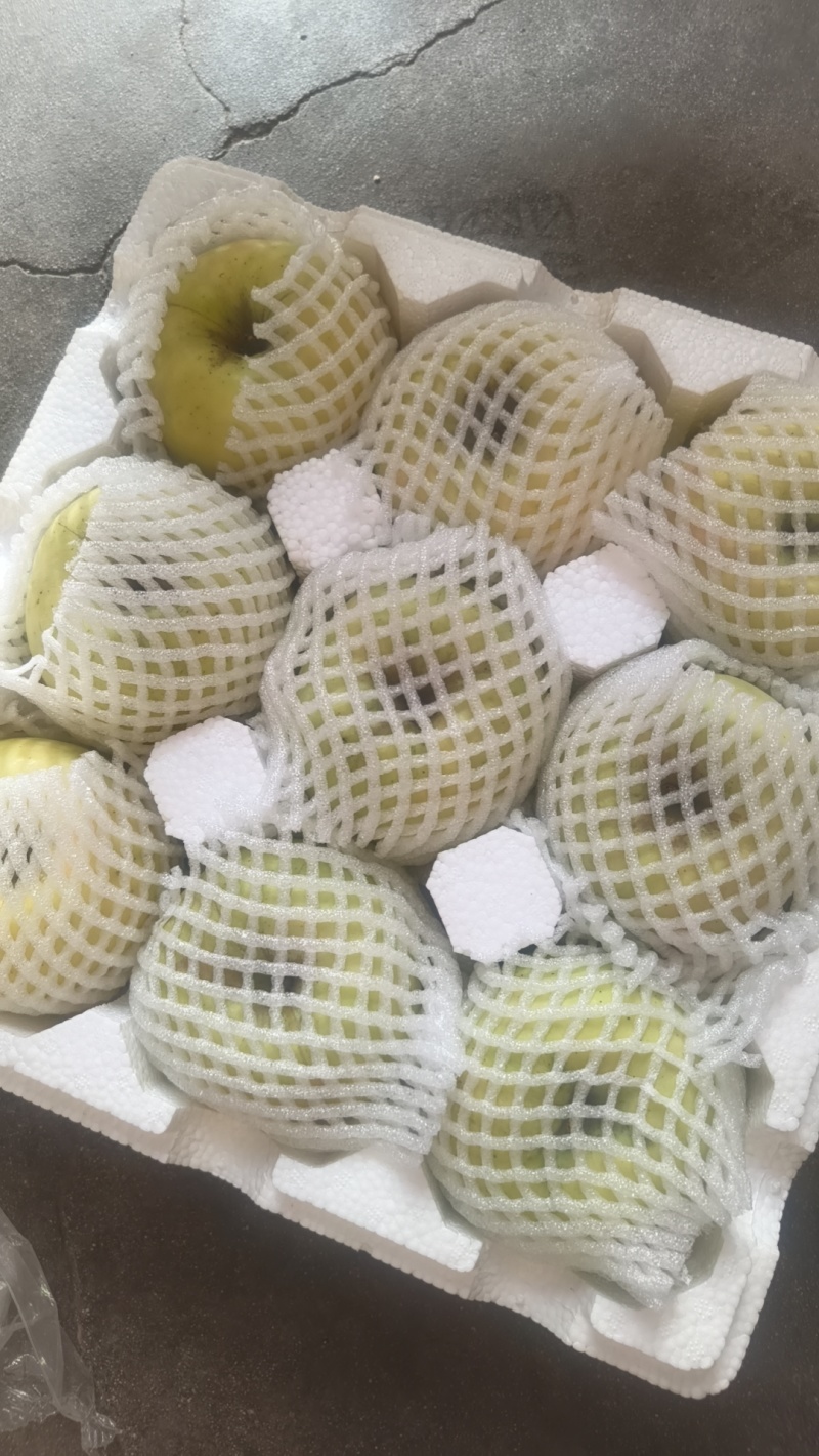明月苹果，几万斤成品果，冷库货。