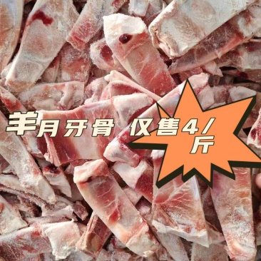 羊月牙骨